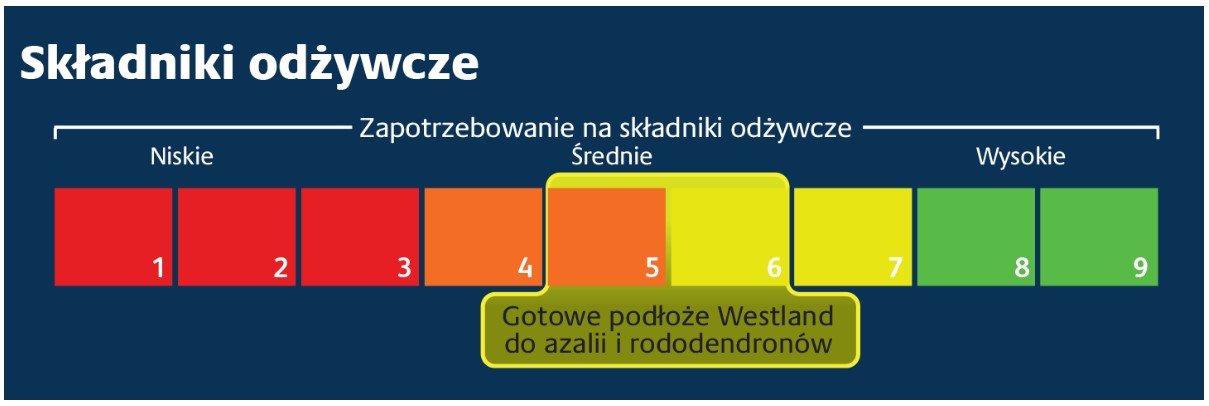 Składniki odżywcze - Podłoże do azalii i rododendronów R+ Westland